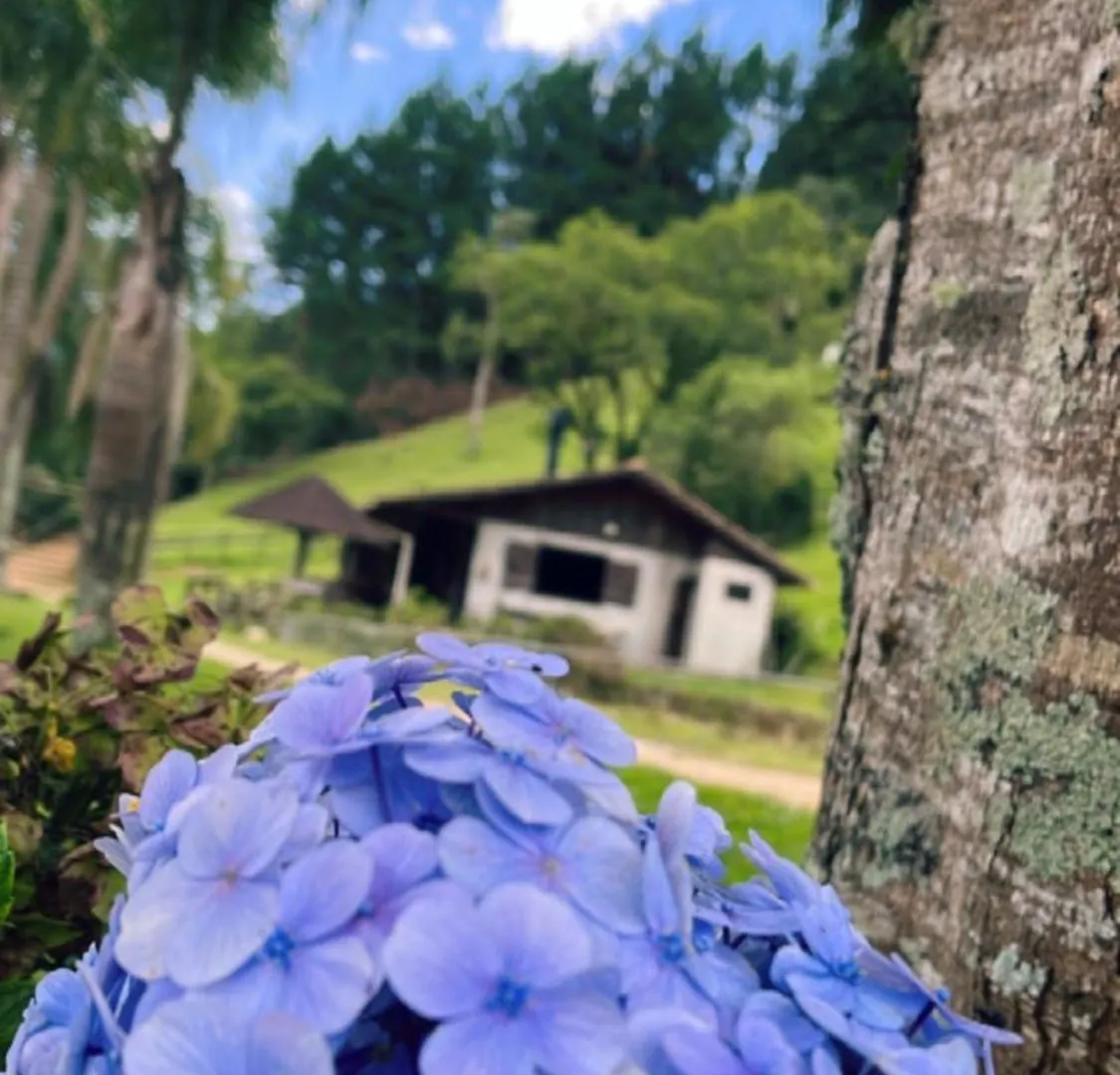 Inn Pousada Das Hortensias Sao Bonifacio